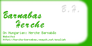 barnabas herche business card